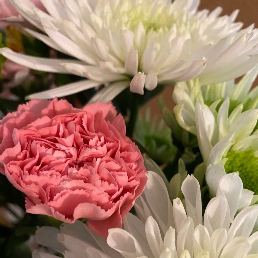 Meet your Posher, Ro